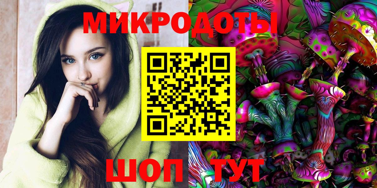 Псилоцибиновые грибы Psilocybe Верхний Уфалей