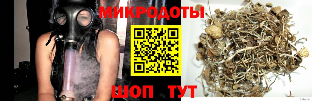 Галлюциногенные грибы мицелий  Псилоцибиновые грибы прущие грибы  Вход с VPN  Верхний Уфалей 